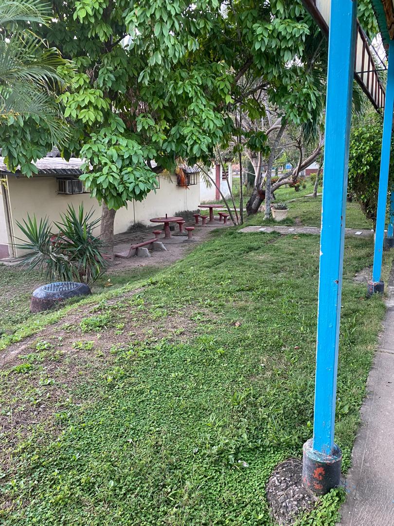 En la U.P.T.P Luis Mariano Rivera, programa de ambientacion,  limpieza y desmalezado. Fecha 4 al 6 de Febrero del 2026.